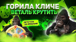 казино gorilla